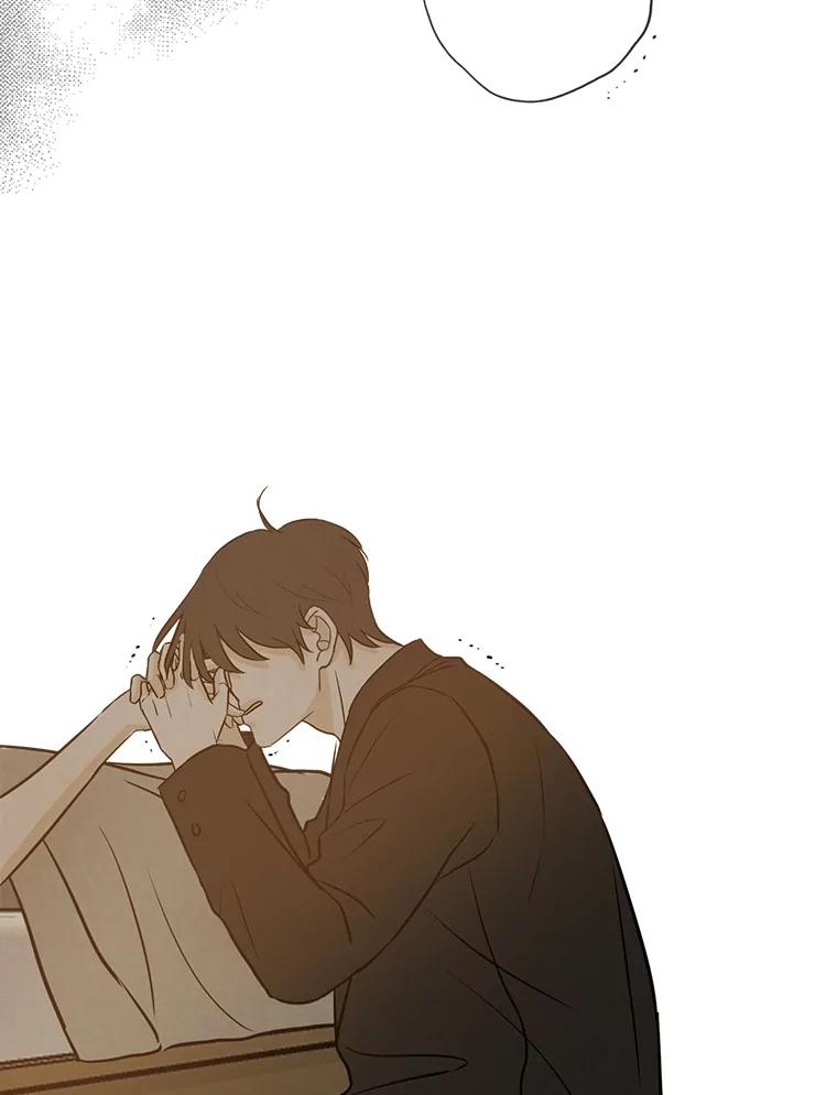《消失的新郎》64.联手 第106页