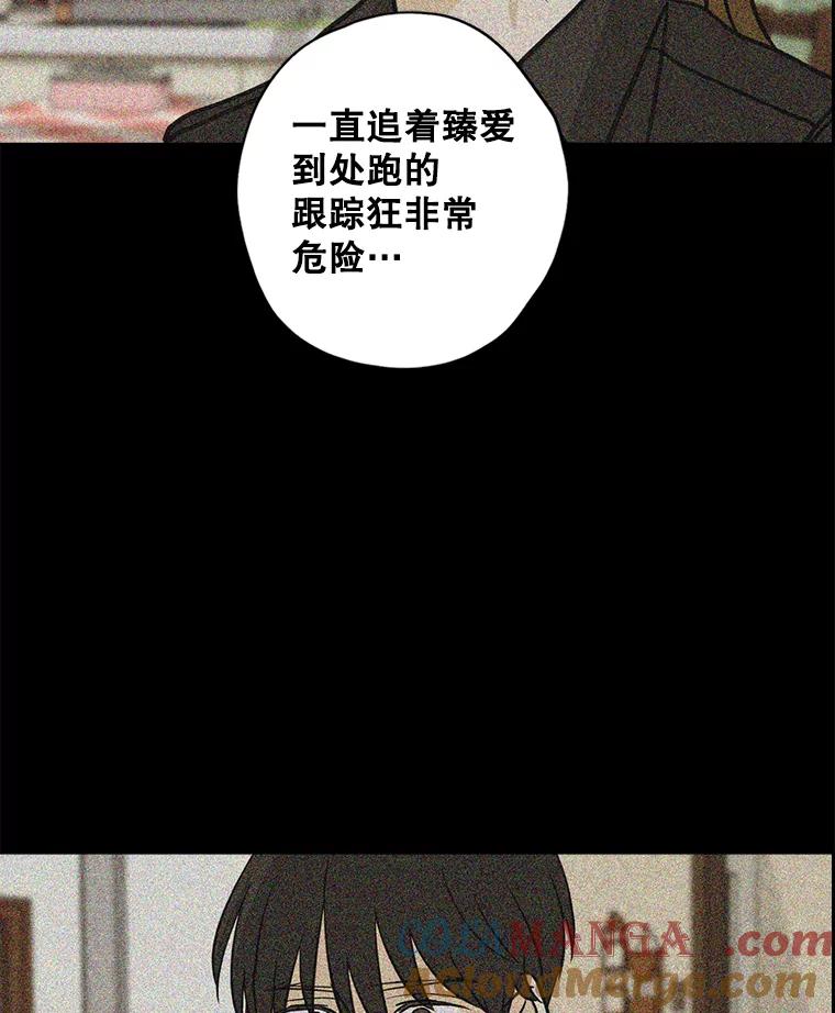 《消失的新郎》64.联手 第33页