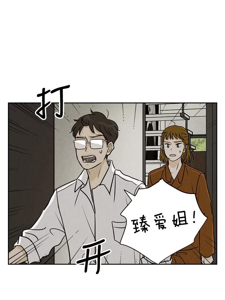《消失的新郎》64.联手 第55页