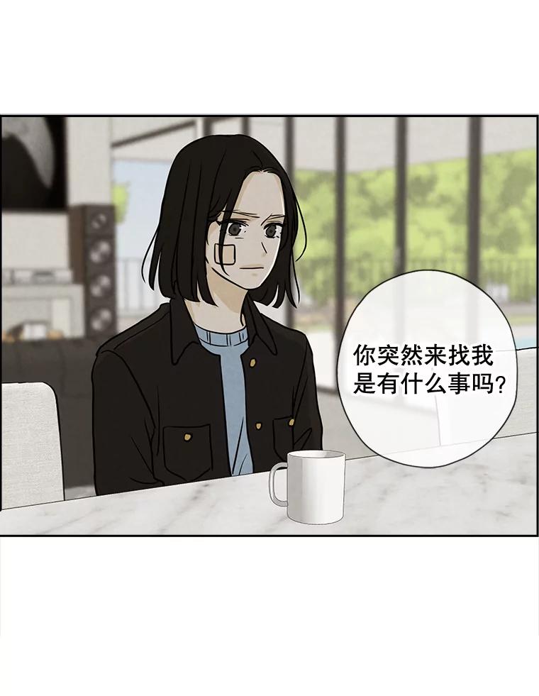 《消失的新郎》65.访客 第53页