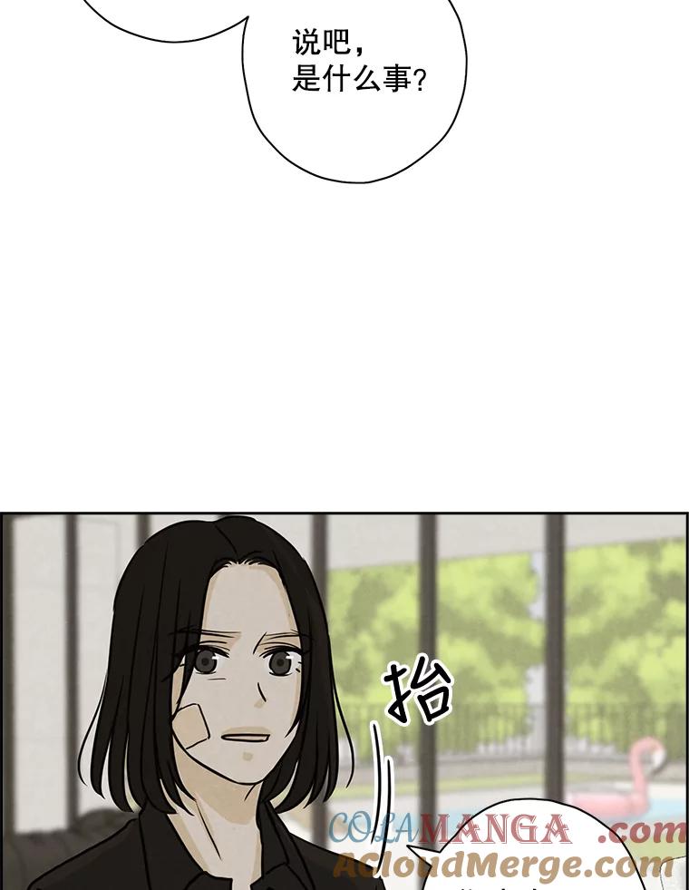《消失的新郎》65.访客 第55页