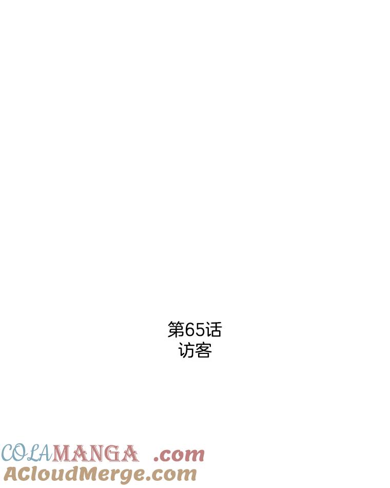 《消失的新郎》65.访客 第25页