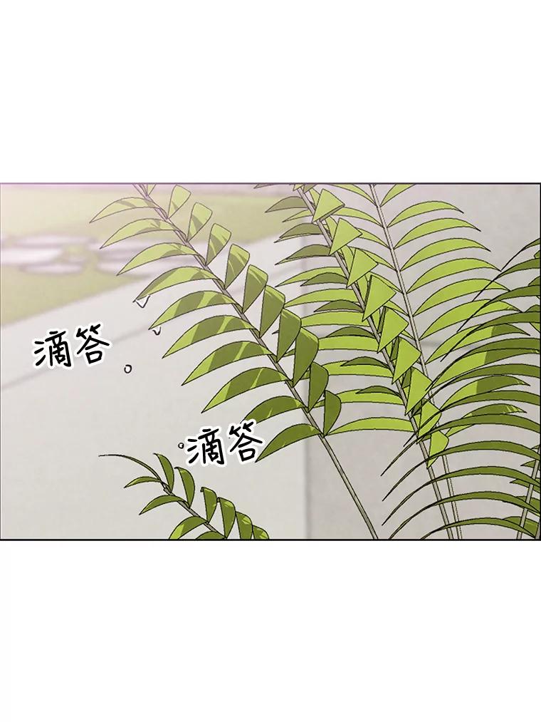 《消失的新郎》65.访客 第48页