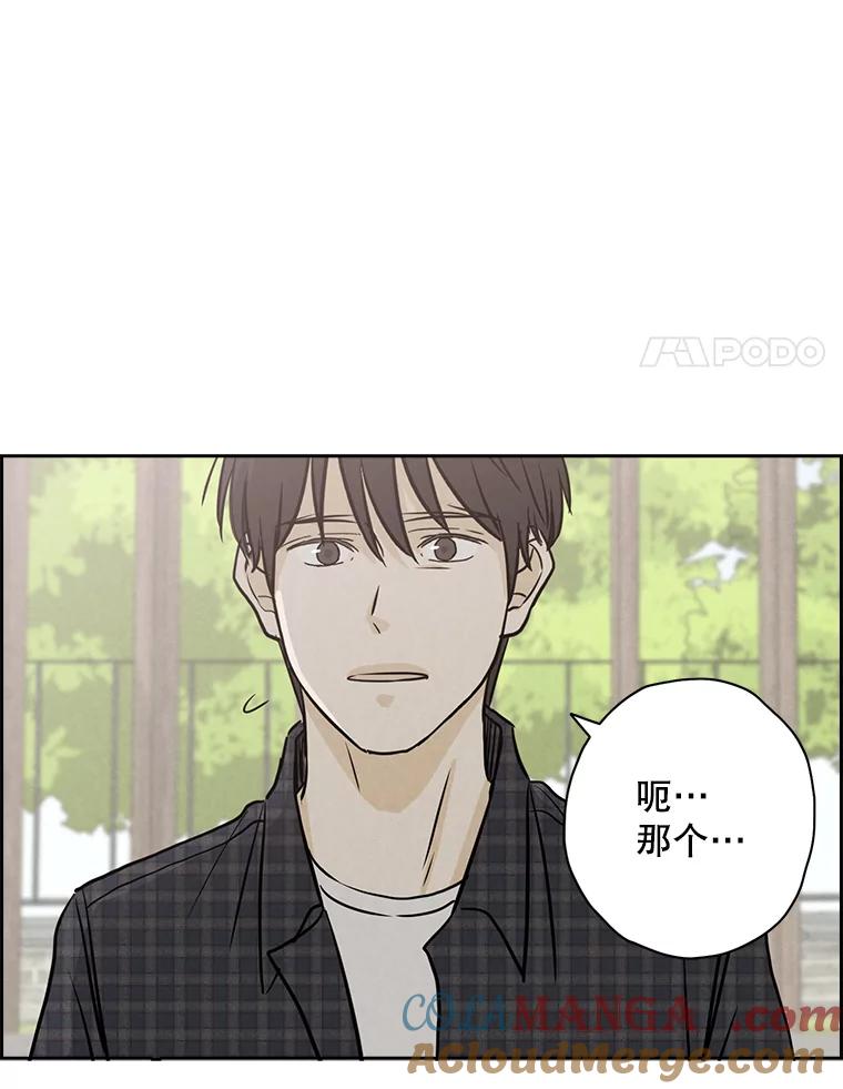 《消失的新郎》65.访客 第31页