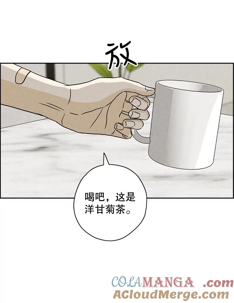 《消失的新郎》65.访客 第52页