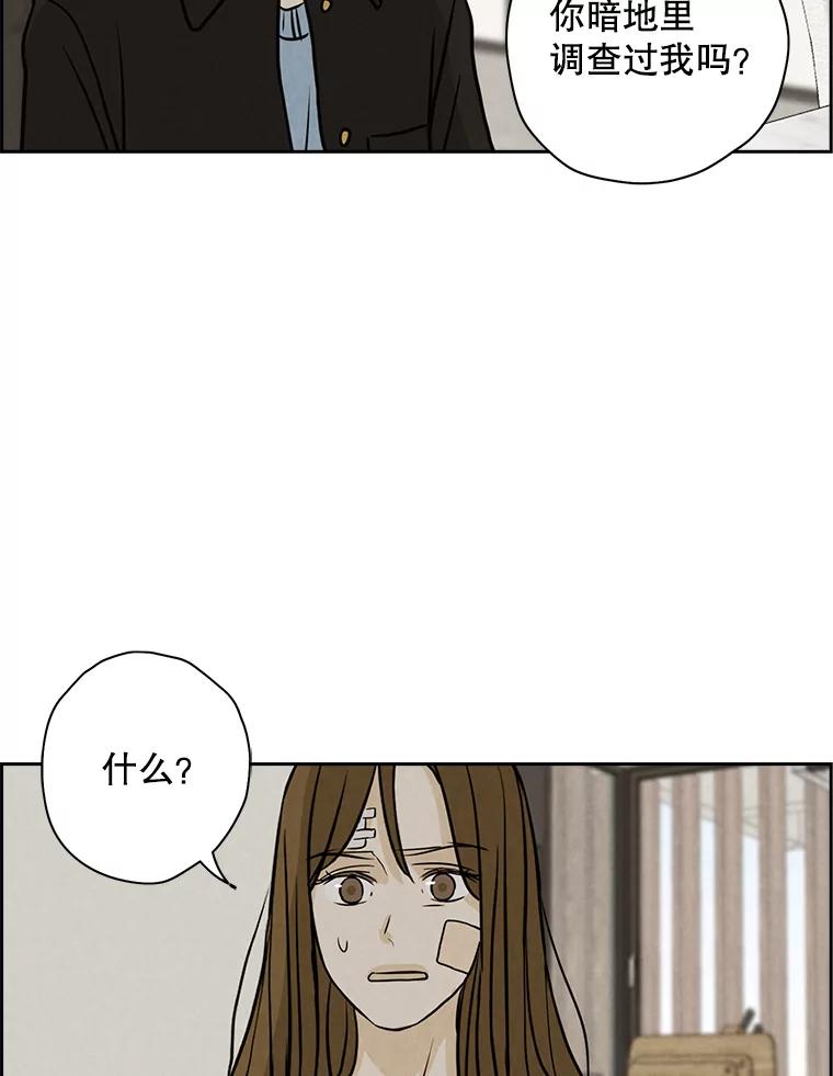 《消失的新郎》65.访客 第56页