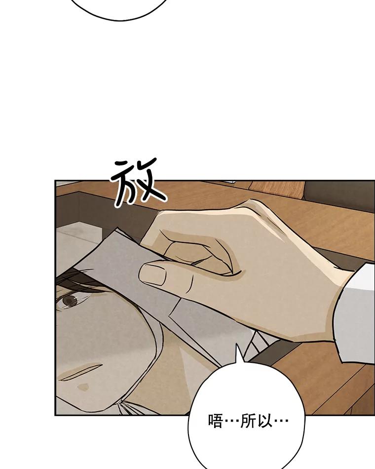 《消失的新郎》65.访客 第83页