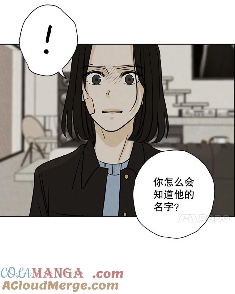 《消失的新郎》65.访客 第67页