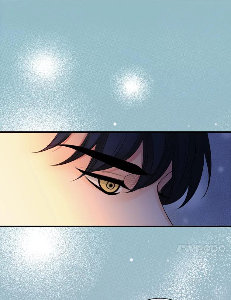 《第8位契约新娘》65.艾伦得的客人 第33页