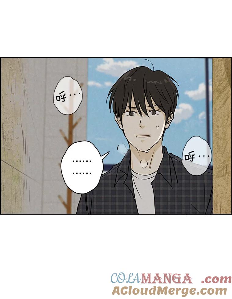 《消失的新郎》66.初恋 第43页