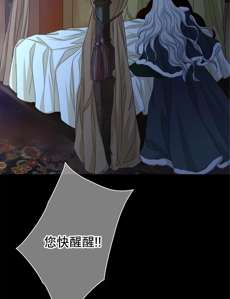 《第8位契约新娘》66.救治祭司 第43页