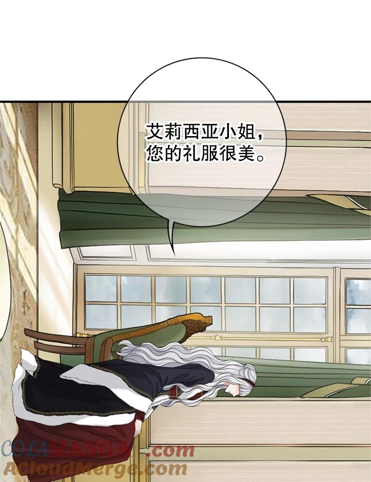《第8位契约新娘》67.治愈能力 第85页