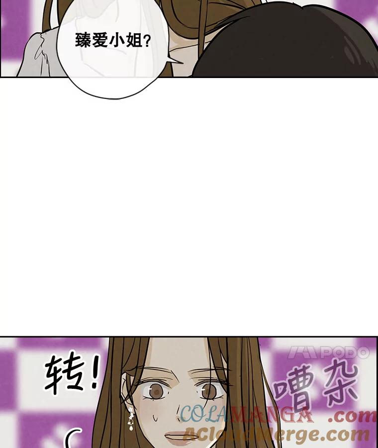 《消失的新郎》70.破壳日 第85页