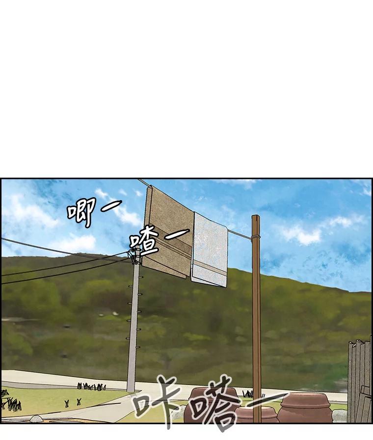 《消失的新郎》70.破壳日 第19页