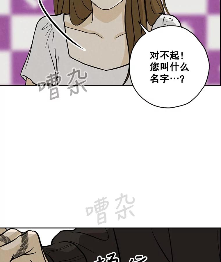 《消失的新郎》70.破壳日 第86页