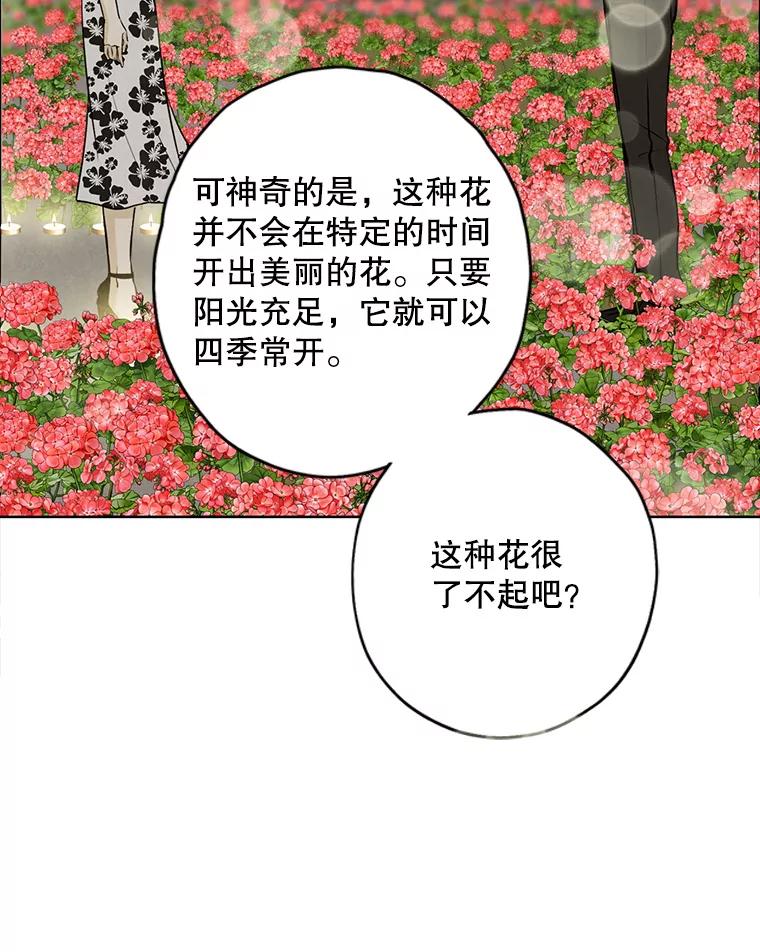 《消失的新郎》72.生日快乐 第46页