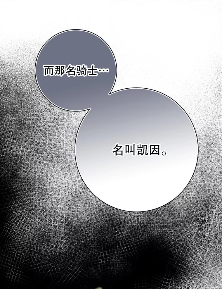 《第8位契约新娘》71.艾梵斯的调查 第29页