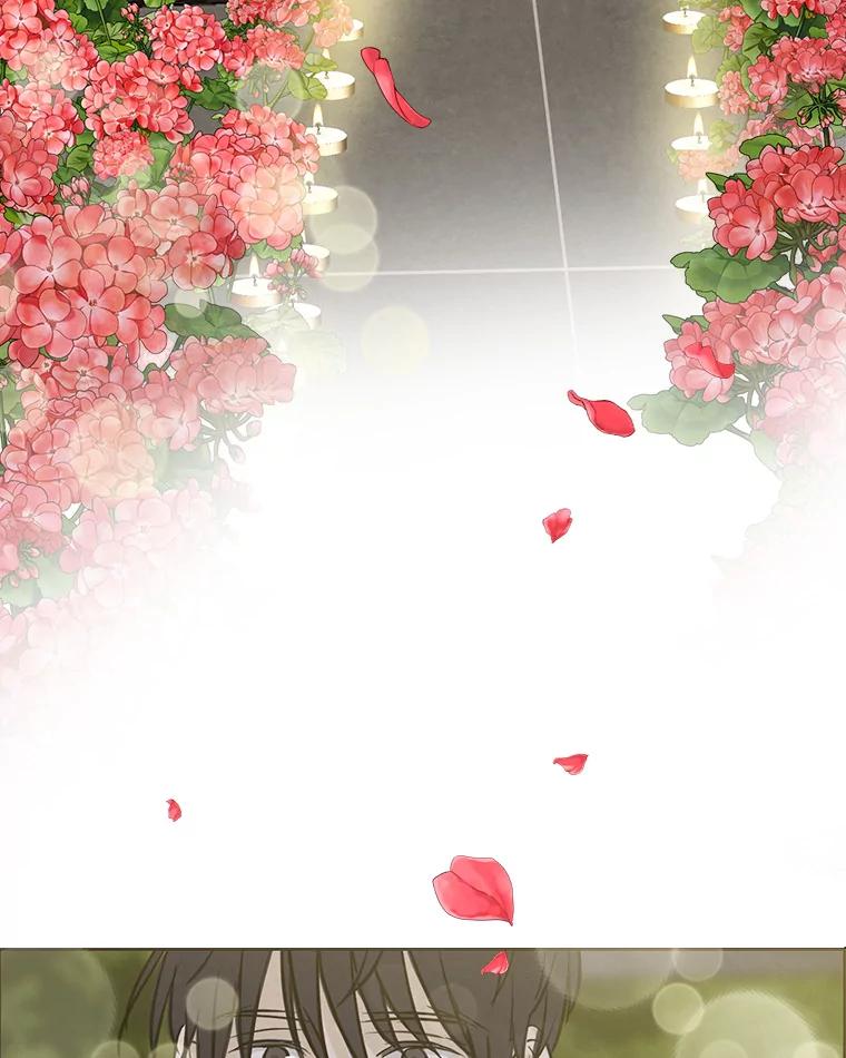 《消失的新郎》72.生日快乐 第28页