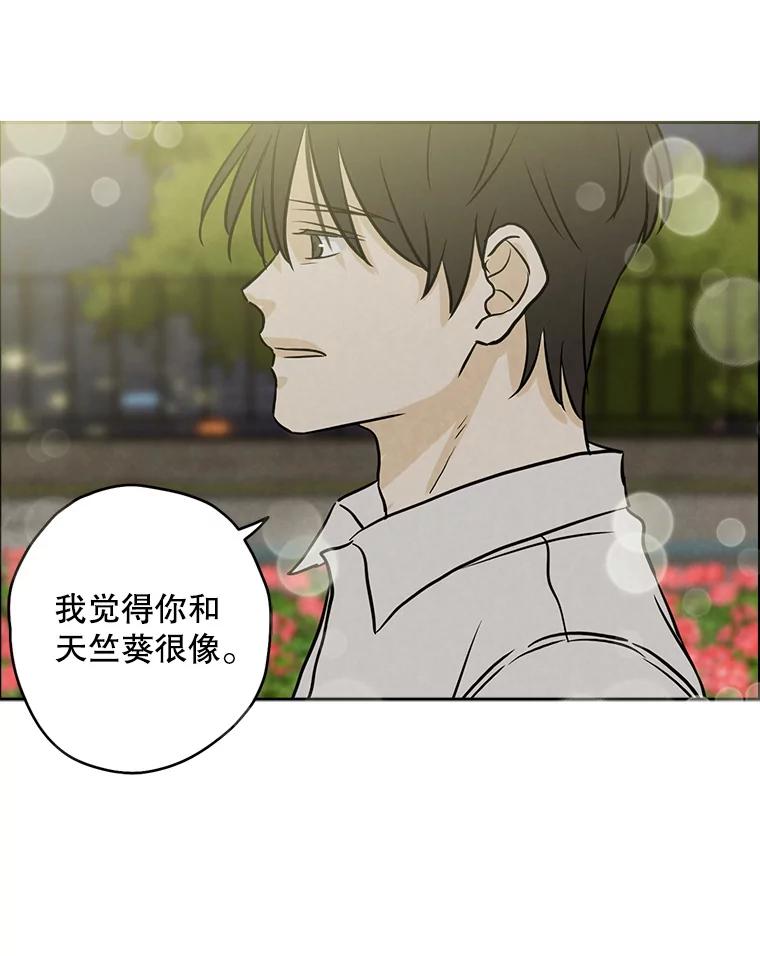 《消失的新郎》72.生日快乐 第47页
