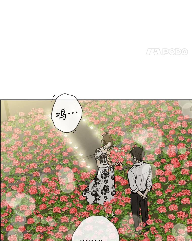 《消失的新郎》72.生日快乐 第79页