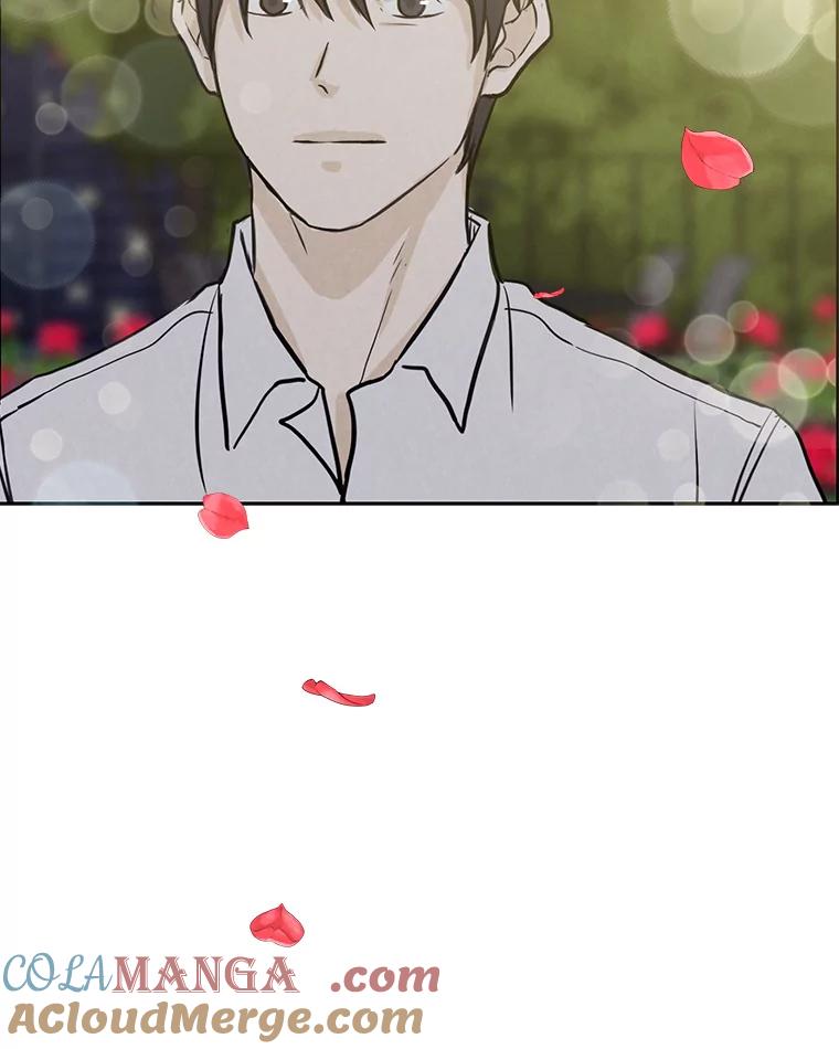 《消失的新郎》72.生日快乐 第29页