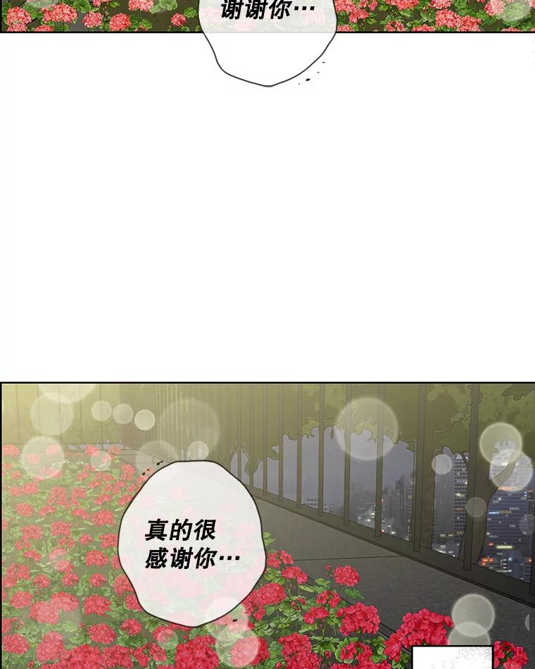 《消失的新郎》72.生日快乐 第80页