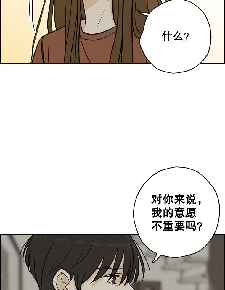 《消失的新郎》75.即使恨你也想重新开始 第12页