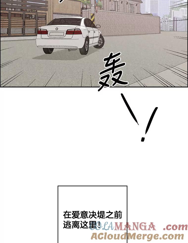 《消失的新郎》75.即使恨你也想重新开始 第61页