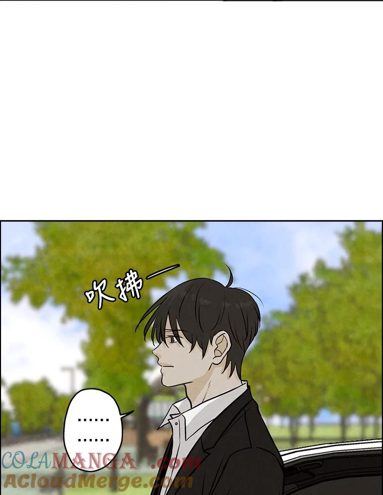 《消失的新郎》75.即使恨你也想重新开始 第76页