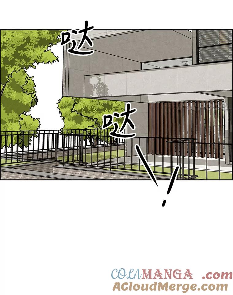 《消失的新郎》75.即使恨你也想重新开始 第55页