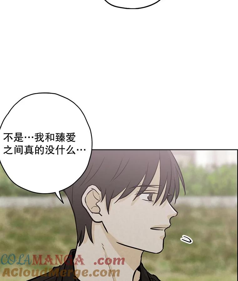 《消失的新郎》76.我只知道爱你 第61页