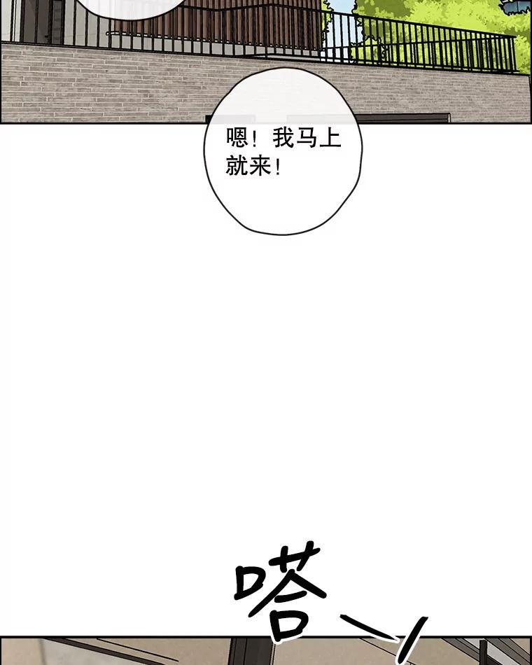 《消失的新郎》76.我只知道爱你 第15页