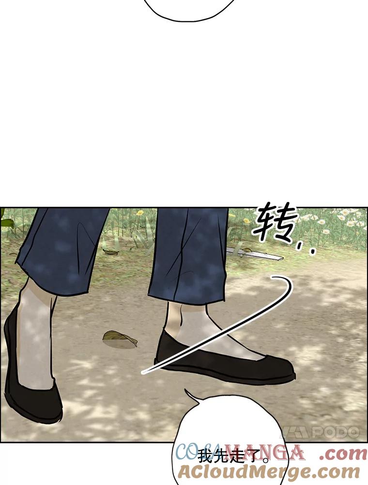 《消失的新郎》77.光和阴影之间 第79页