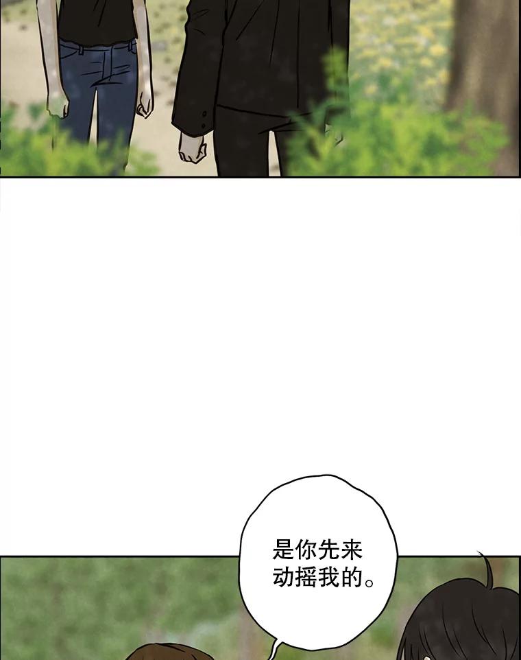 《消失的新郎》77.光和阴影之间 第44页