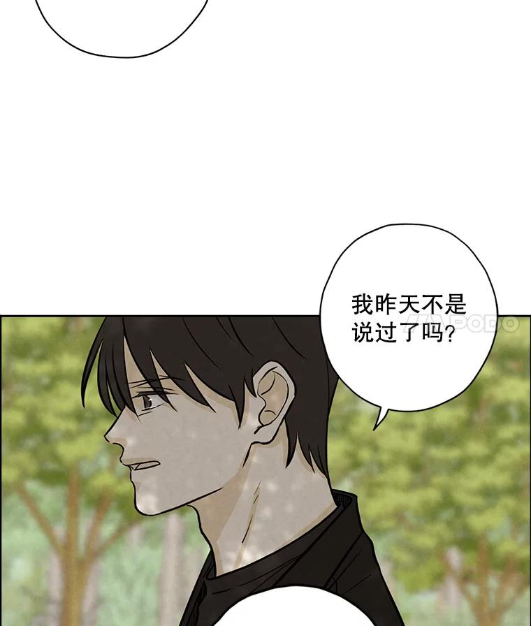 《消失的新郎》77.光和阴影之间 第48页
