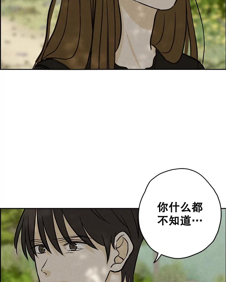 《消失的新郎》77.光和阴影之间 第60页