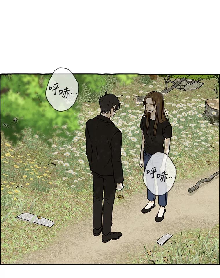 《消失的新郎》77.光和阴影之间 第71页