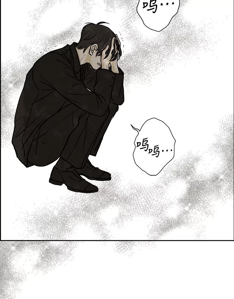 《消失的新郎》77.光和阴影之间 第87页