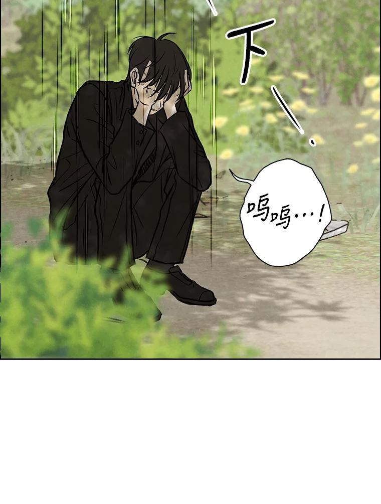《消失的新郎》77.光和阴影之间 第84页