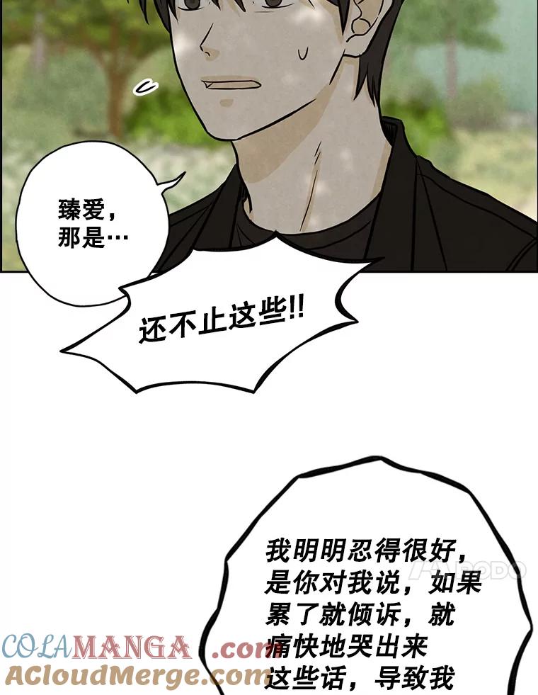 《消失的新郎》77.光和阴影之间 第31页