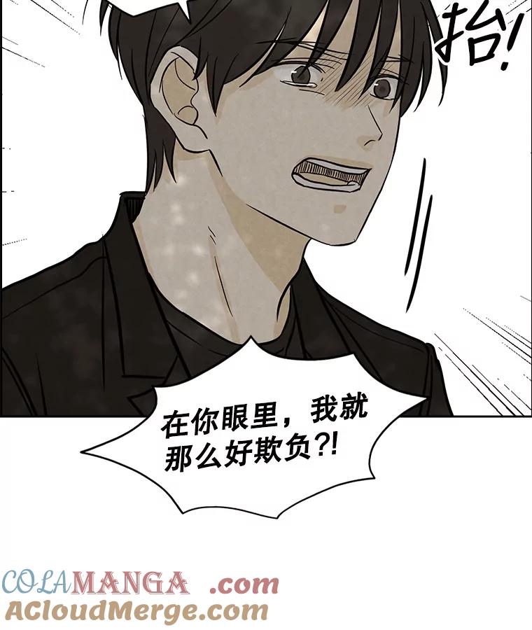 《消失的新郎》77.光和阴影之间 第67页