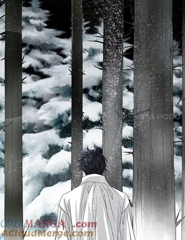 《第8位契约新娘》76.绑架 第25页