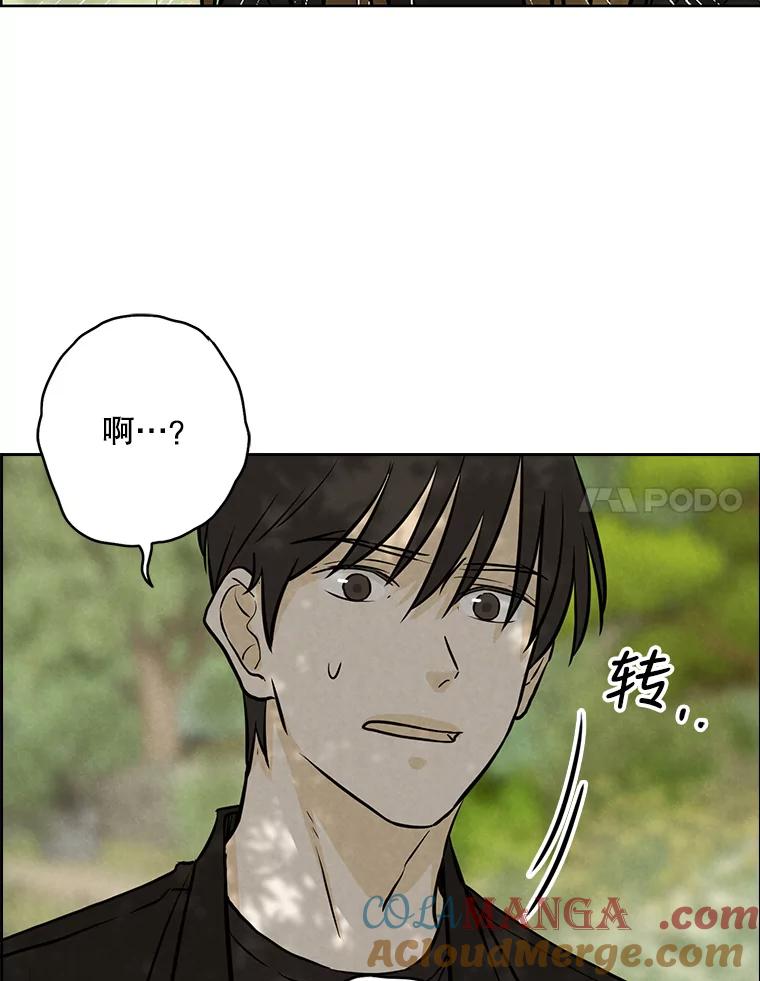 《消失的新郎》77.光和阴影之间 第28页