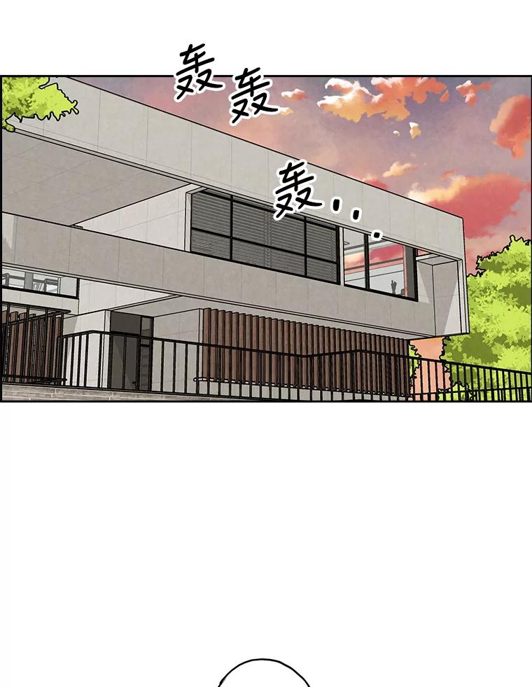 《消失的新郎》80.疯子的法则 第55页