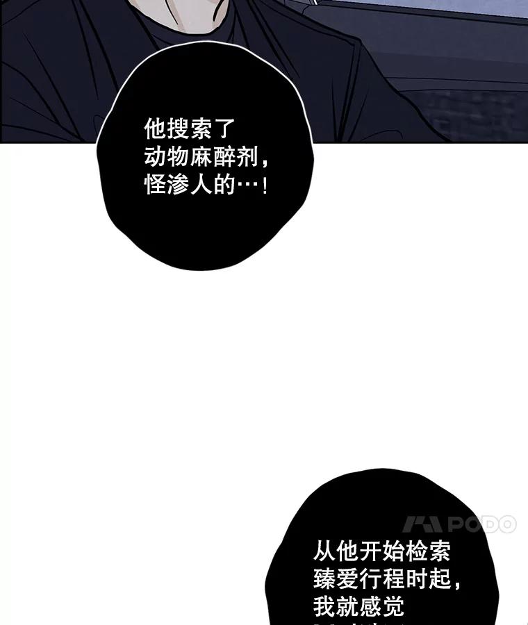 《消失的新郎》81.不祥之兆 第11页