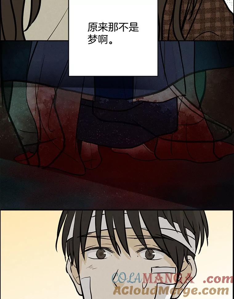 《消失的新郎》85.重新开始 第29页