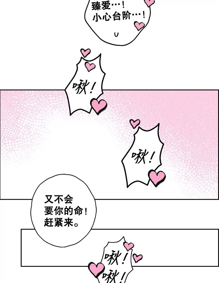 《消失的新郎》85.重新开始 第75页