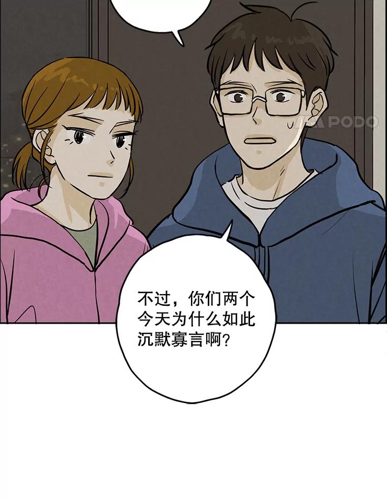 《消失的新郎》85.重新开始 第38页