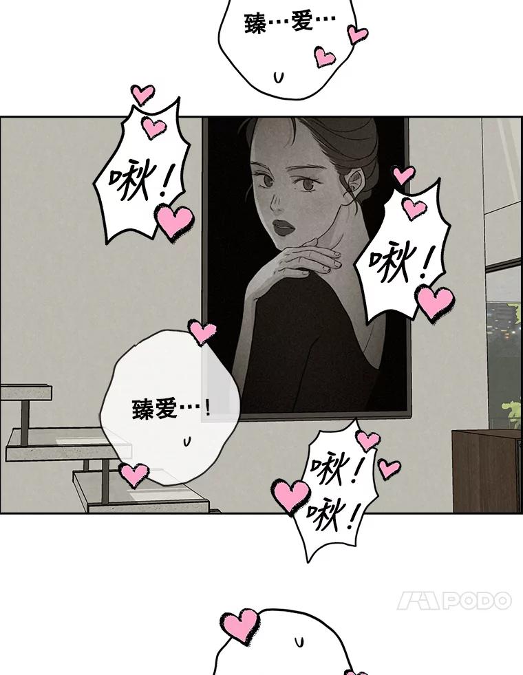 《消失的新郎》85.重新开始 第74页