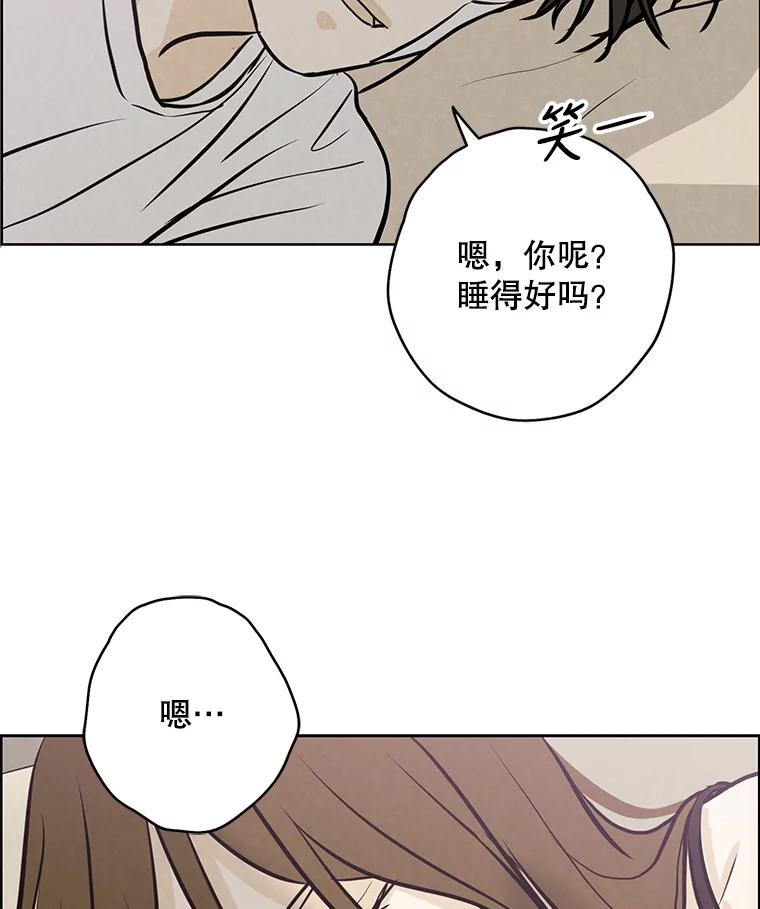 《消失的新郎》85.重新开始 第87页